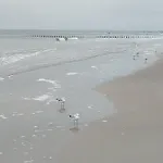 Achterwasser Blick Ückeritz