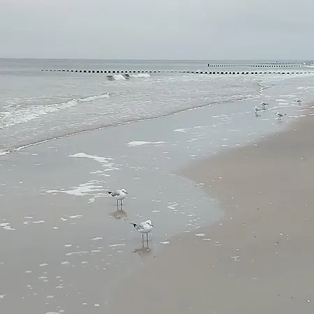 Achterwasser Blick يوكيريتز